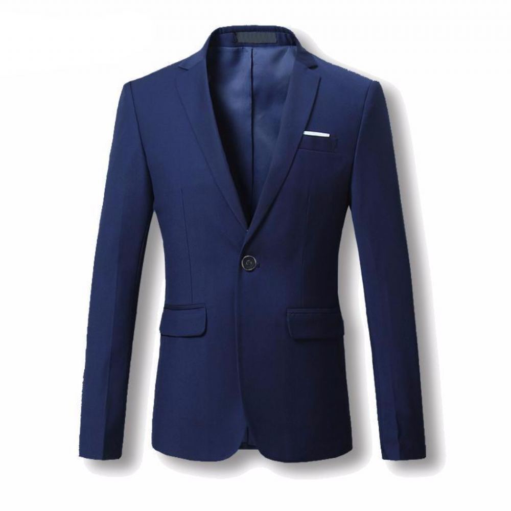 Terno Designer Blazer Blazerit Miesten